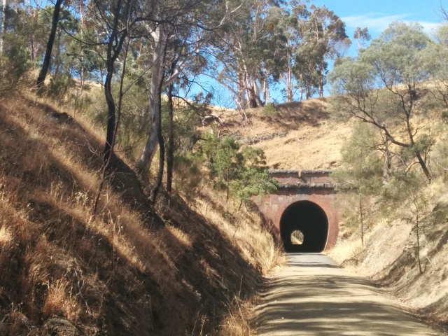 Cheviot Tunnel 2015